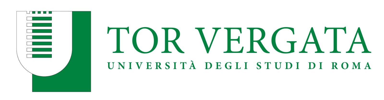 Logo Università Tor Vergata