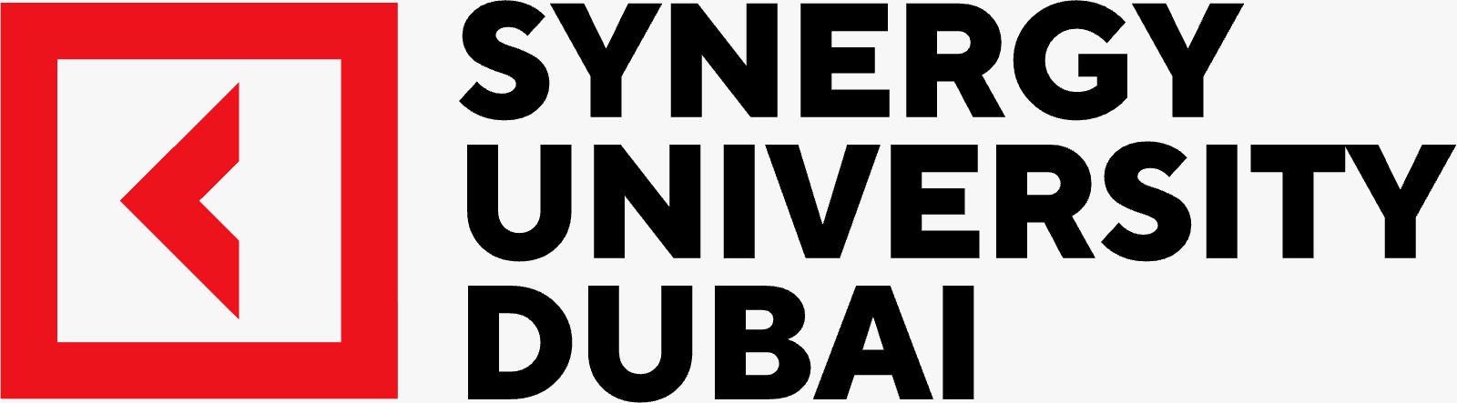 Logo Synergy University Dubai